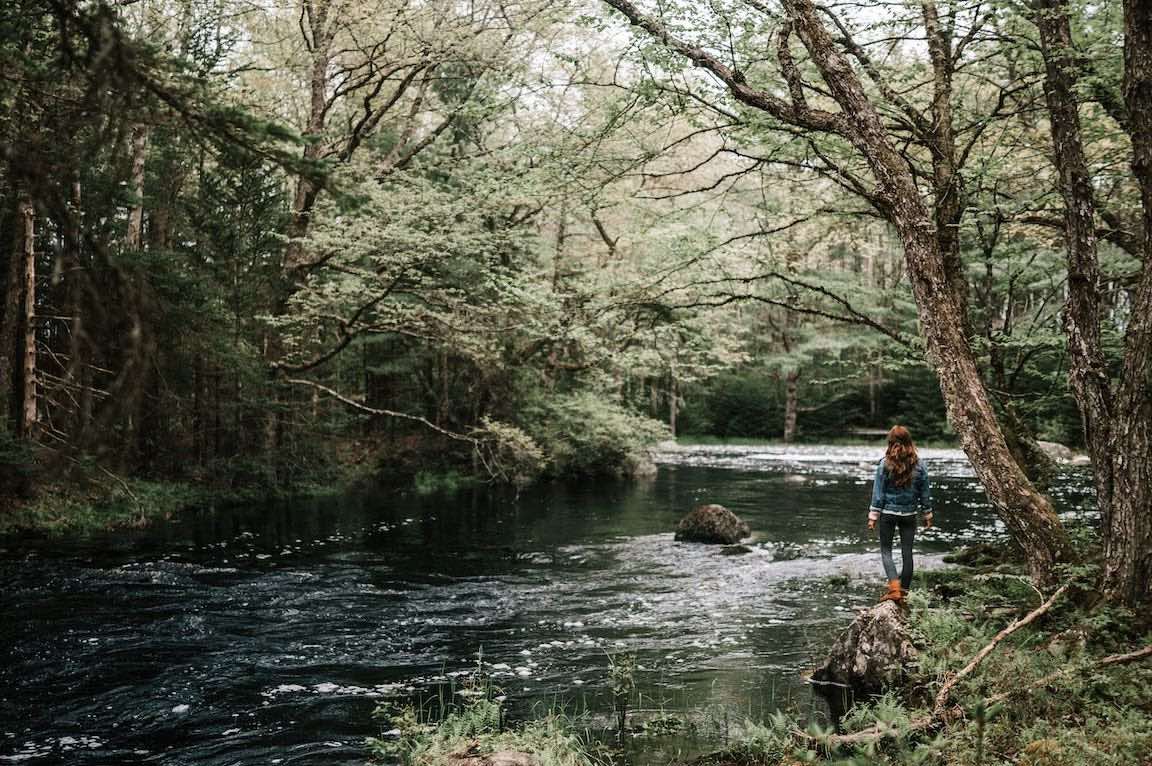 Luxury and Adventure - Forest Bathing